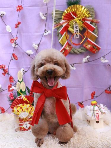 20230110くぅくん